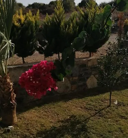 Bargilyam Villa *